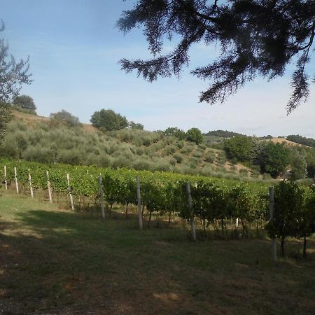 Podere Caldaruccio La Pineta Perugia Zewnętrze zdjęcie