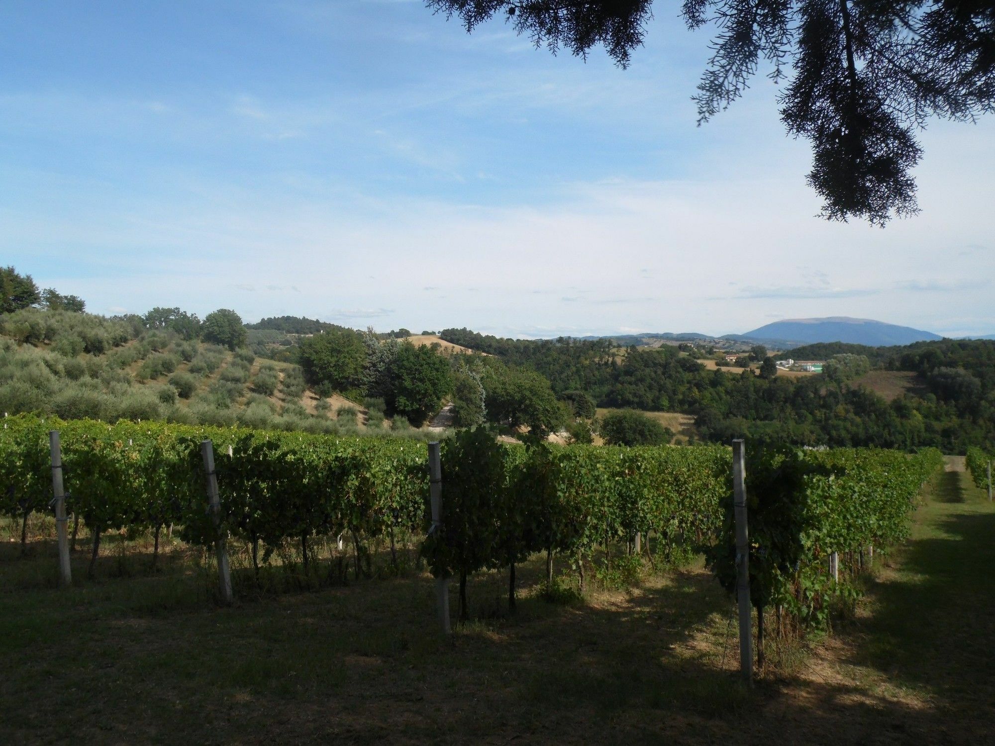 Podere Caldaruccio La Pineta Perugia Zewnętrze zdjęcie